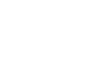 IRG Logo