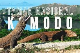KOMODO ISLAND EXPEDITION